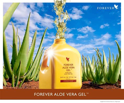 Click on the banner to go to the shop. Aloe Vera Gel - Forever F.I.T program | C9 - F15 - V5