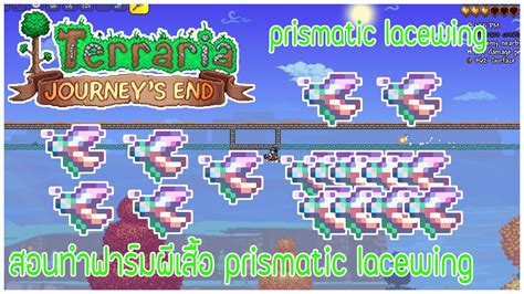Terraria สอนสร้างฟาร์ม Prismatic Lacewing Youtube