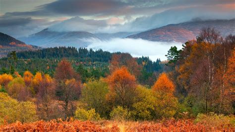 Trossachs National Park Autumn Scotland 2019 Bing Desktop