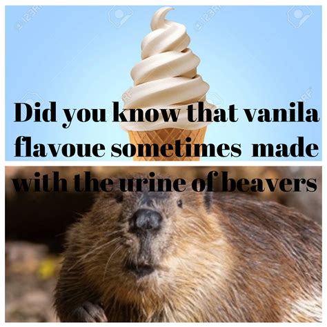 However, this flavoring does vary in strength. Did You Know that Vanilla Flavoring is Sometimes Made With ...