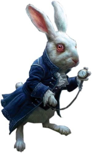 Alice Aux Pays Des Merveilles White Rabbit Alice Png 300x500 Png