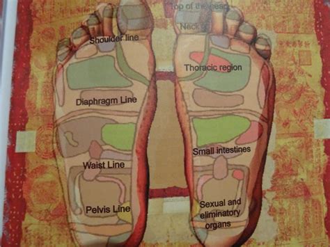 History And Benefits Of Thai Foot Massage Abundantia Holistic Therapies