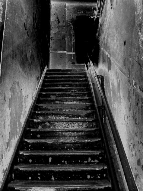 무료 이미지 빛 검정색과 흰색 건축물 선로 화이트 계단 유령 같은 벽 걸음 어두운 샌프란시스코 수송
