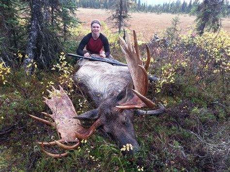Alaska moose hunting guided moose hunts by vast alaska. DIY Alaska Hunts - Adventure Outfitters Alaska