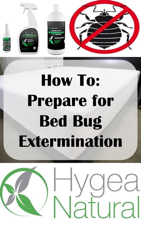 A Bed Bug How To Prepare For A Bed Bug Extermination