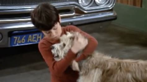 Things From The Brady Bunch You Only Notice As An Adult