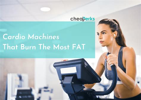 Cardio Machines That Burn The Most Calories Guide Cheaperks