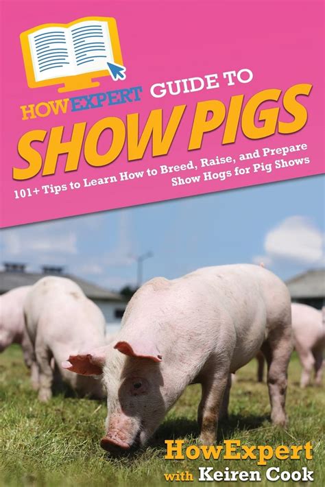 Howexpert Guide To Show Pigs 101 Tips To Learn How To Breed Raise