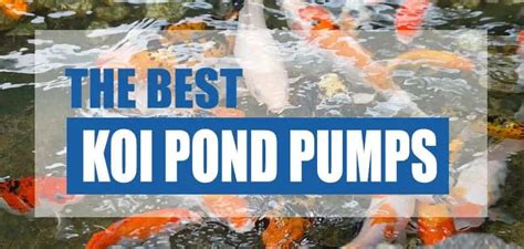 3 Best Koi Pond Pumps 2023 Reviews And Costs Pond Informer