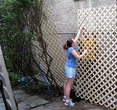 Got Ugly Chainlink Fence Here Are 5 Ways To Cover It Up Full Bamboo