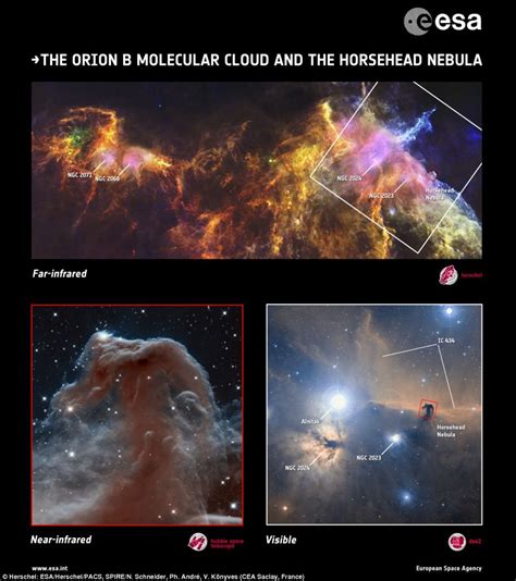 An Extra Terrestrial Equine Hubble Reveals Horsehead Nebula In