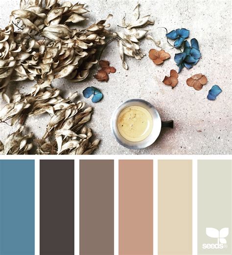 Color Arrange Design Seeds Color Palette Design Seeds Seeds Color