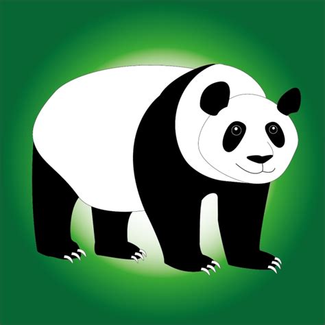 Oso Panda Dibujo Estilo Realista De Dibujos Animados Png Y Eps Panda
