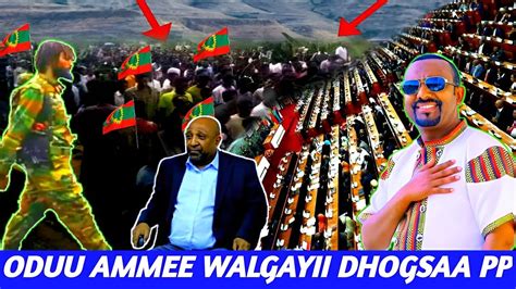 Oduu Ammee Walgayii Motumma Bilxiginaa Balaba Cufaa Oromo Iratii