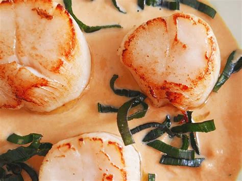 Noix de Saint - Jacques sauce au corail et fondue de poireaux SOCOMAR