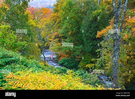 New England Stream Winding Thru Lush Fall Forest Vermont Stock Photo