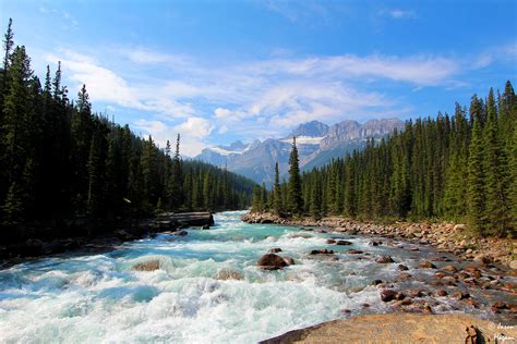 Download Landscape Forest Canada Banff National Park Nature River 4k