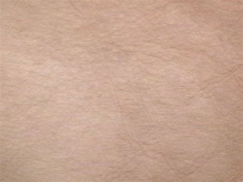 Gallery For Human Skin Texture
