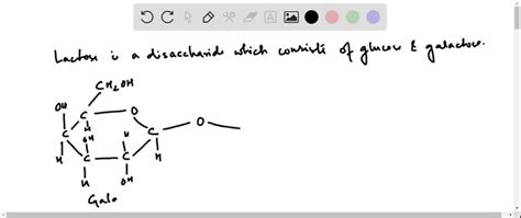 Draw The Structure Of Lactose Reducing Milk Sugar Solvedlib