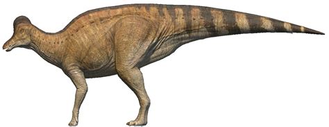 Categoryhadrosaurus The Isle Wiki Fandom Powered By Wikia