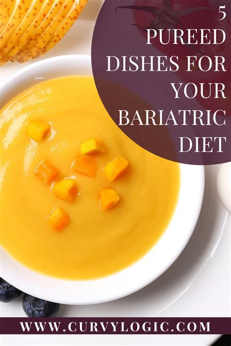 The Pureed Diet Curvylogic Bariatric Recipes Sleeve Liquid Diet Pureed Diet Pureed Food