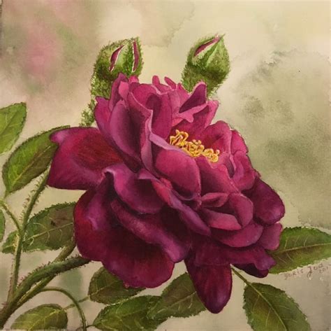 Purple Rose New Painting Series Of Rose Paintings In Watercolor