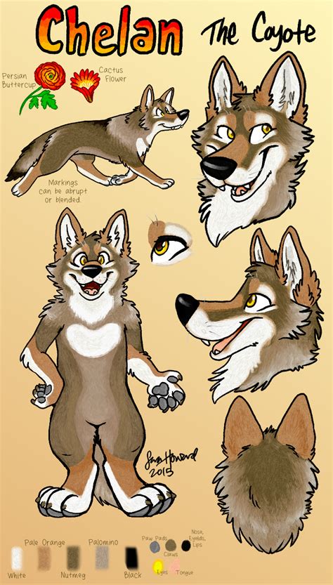 Chelan The Coyote Character Reference — Weasyl