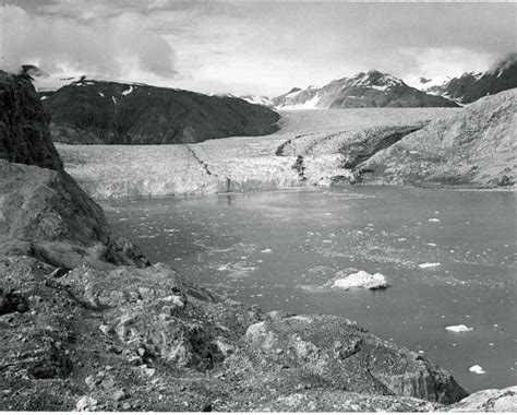Muir Glacier August 1950 The Glacier Has Receeded And Covers