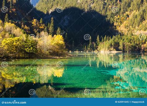 Five Flower Lake Is Lake In Jiuzhaigou Stock Image Image Of Green