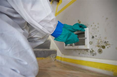 Remove Mold And Mildew Odors With Mold Remediation San Diego Smart