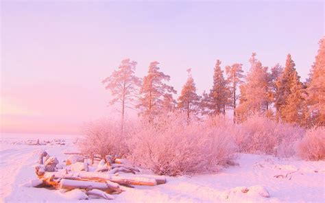 Maybe you would like to learn more about one of these? Roadside pink trees HD wallpaper | HD Latest Wallpapers