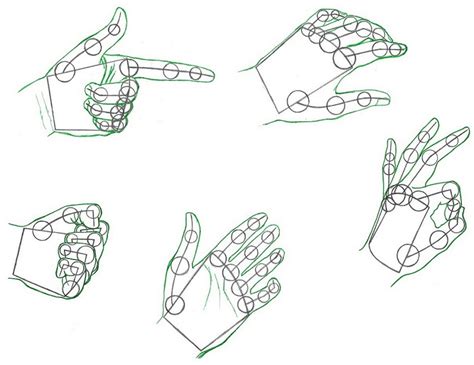 How To Draw Hands Part 1 Construction Rapidfireart Anatomie