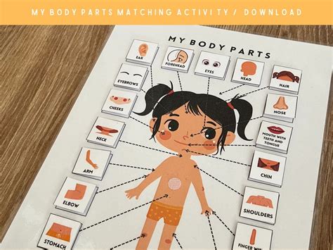 Body Parts Matching Activity Printable Busy Book Pages Etsy