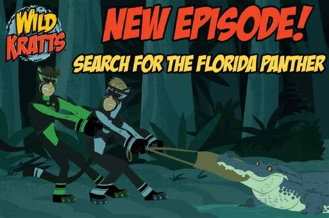 Search For The Florida Panther Wild Kratts Wiki