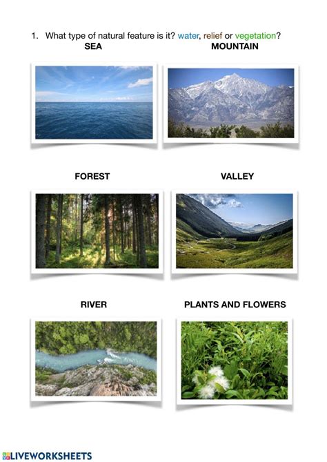 Natural Features Of The Landscape Worksheet Live Worksheets