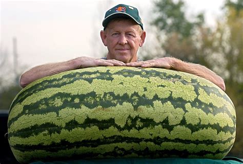 Biggest Natural Melons On Earth Organic Authority