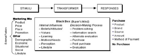 Black Box Model Source Kotler Et Al 2004 Download Scientific Diagram