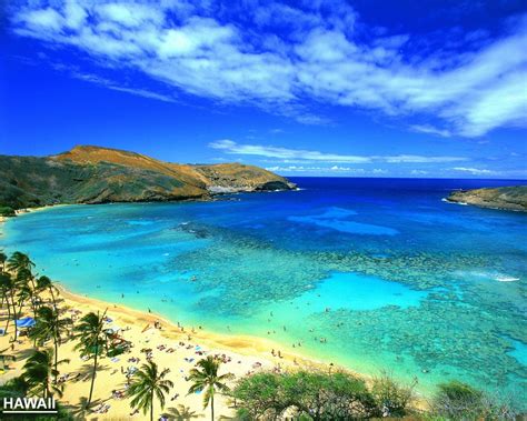 Free Download Hawaii Wallpaper Free Hd Backgrounds Images Pictures