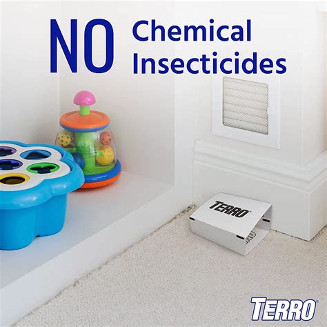 Best Ant And Insect Traps To Get Rid Of Ants For Good