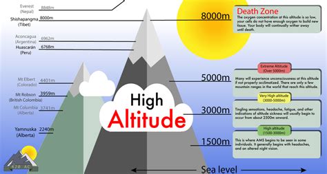 Herbs For Altitude Sickness — The Sunlight Experiment
