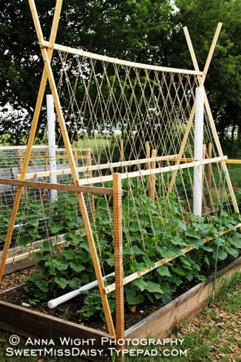 Easy Diy Garden Trellis Ideas Plant Structures A Piece Of Rainbow My