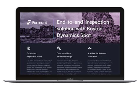 Download Formants Guide To Inspection With Spot