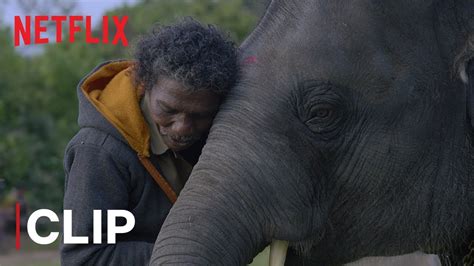 What Do Elephants Want The Elephant Whisperers Oscar Winning