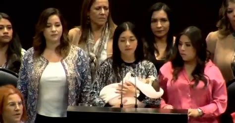 Diputada Del Pan Subió A La Tribuna Con Su Bebé En Brazos Y Desató Reclamos De Legisladores De