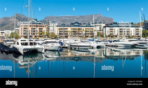 Yachts Panorama In Cape Town Harbour Marina With Table Mountain