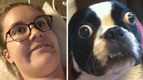 21 You Are Dog Now Pictures That Prove We Are All Dogs