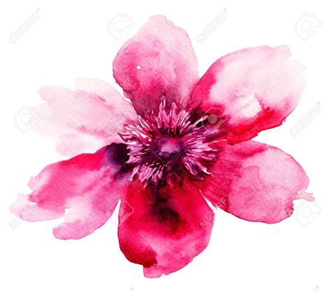 Abstract Watercolor Paintings Of Flowers Part 1 We Need Fun
