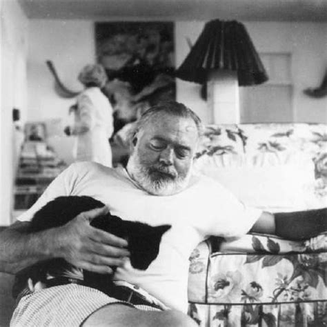 26 Interesting Vintage Photos Of Ernest Hemingway With His Beloved Cats ~ Vintage Everyday