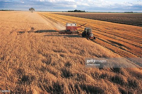 Combine Harvester And Tractor In Wheat Field High Res Stock Photo