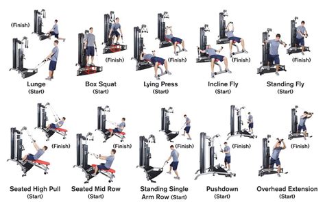 Full Body Machine Workout For Beginners Workoutwalls